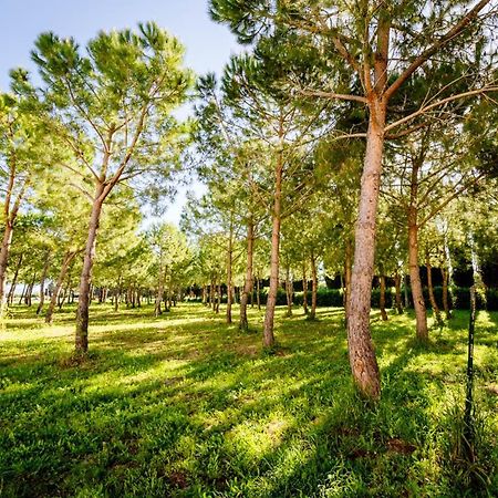 Agriturismo Bio San Mamiliano Grosseto Kültér fotó